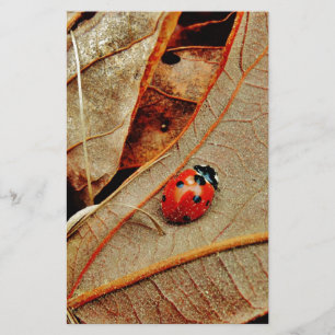 cute Ladybug costume personalize name gift