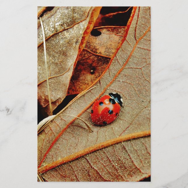 cute Ladybug costume personalize name gift (Front)