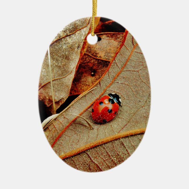 cute Ladybug custom personalize name gift Ceramic Ornament (Front)