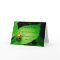 Cute Ladybug "God Cares for You" Scripture