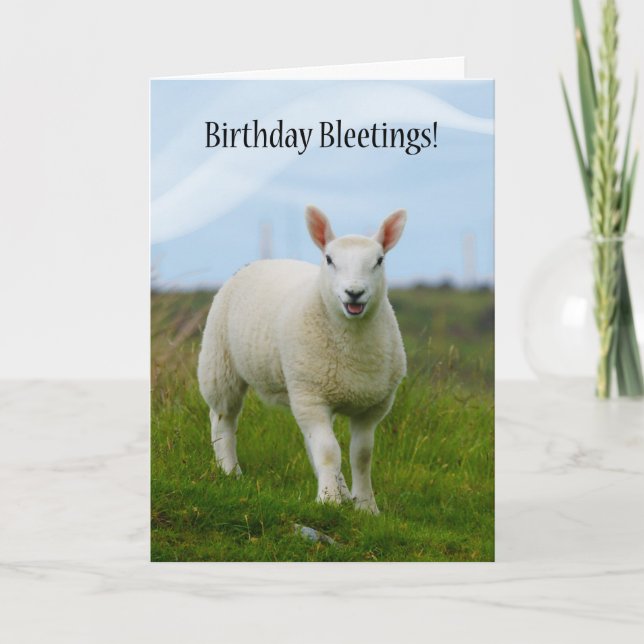 Cute Lamb Birthday Bleetings - Lamb In Field Card (Front)