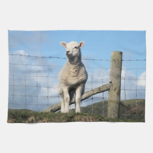 CUTE LAMB  KITCHEN TOWEL