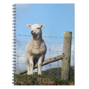 CUTE LAMB  NOTEBOOK
