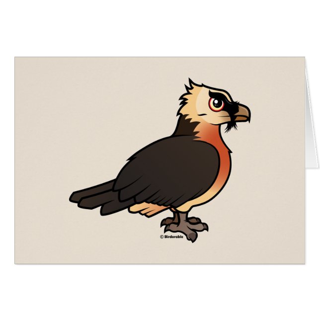 Cute Lammergeier (Front Horizontal)