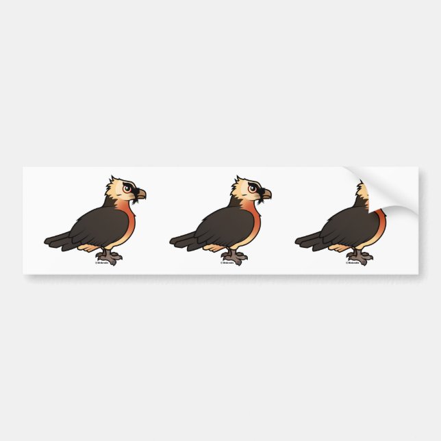 Cute Lammergeier Bumper Sticker (Front)