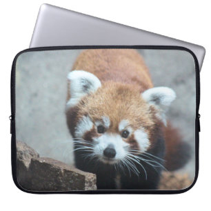 Cute Laptop Sleeve