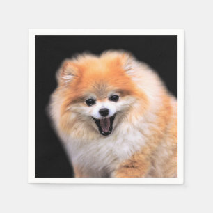 Cute Laughing Pomeranian Dog Napkin