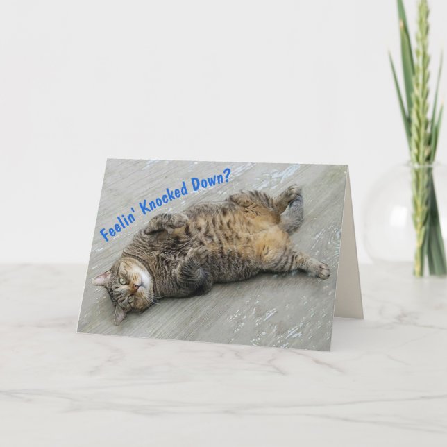 Cute Lazy Cat Get Well Card (Front)