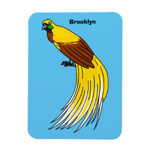 Cute lesser bird of paradise illustration magnet