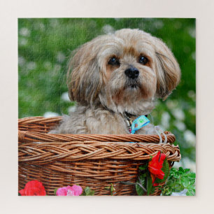 Cute Lhasa Apso Chien dans le panier Puzzle