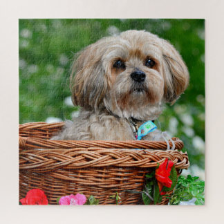 Cute Lhasa Apso Dog in Basket Puzzle