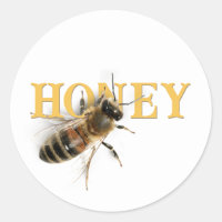 Cute life-sized realistic bee on the word "HONEY".