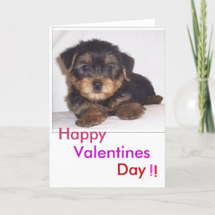 cute lil puppy, Valentines, Day, Happy, !, ! Holiday Card