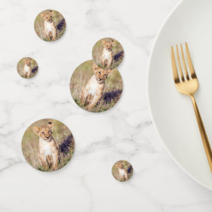 Cute lion cub in Africa photo Confetti