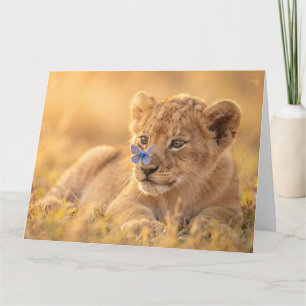 Cute Lion Cub with Blue Butterfly on Nose Card