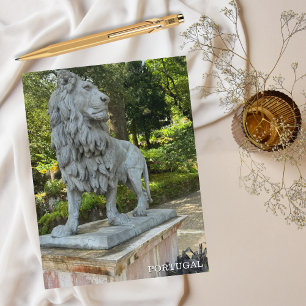Cute Lion, Sintra Portugal Photography, Travel Holiday Postcard