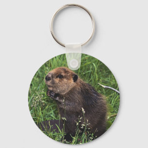 Cute Little Beaver Keychain