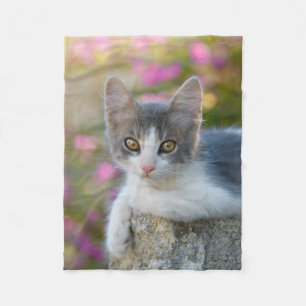 Cute Little Bicolor Kitten Fluffy Photo Cat Lovers Fleece Blanket