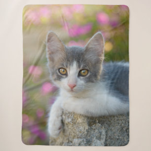 Cute Little Bicolor Kitten Fluffy Photo Cat Lovers Sherpa Blanket
