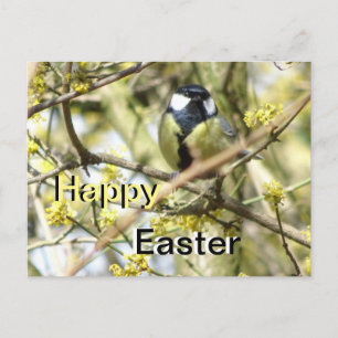 Cute little Bird Happy Easter Postcard