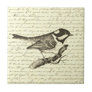 Cute Little Bird Vintage French Script Beige Tile