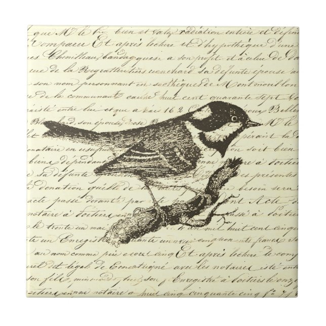 Cute Little Bird Vintage French Script Beige Tile (Front)