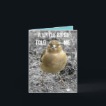 Cute Little Birdie Happy Birthday Customize Card<br><div class="desc">This cute little chaffinch was happy to pose and have his photo taken for this card! They live in the Leicestershire countryside.

All text on this card can be personalized,  suitable for a male or female of any age.</div>