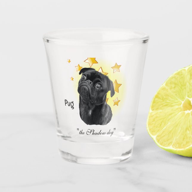 Cute Little Black Pug is a Star   Shot Glass (Front)