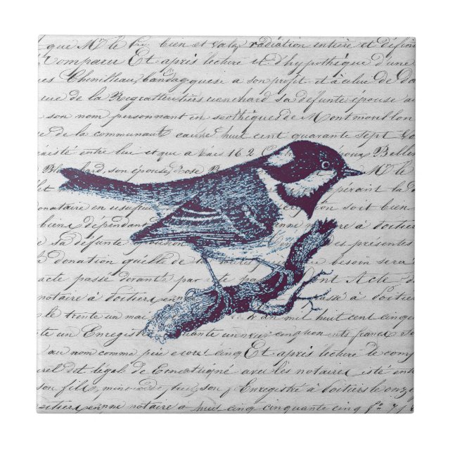 Cute Little Blue Bird Vintage French Script  Tile (Front)