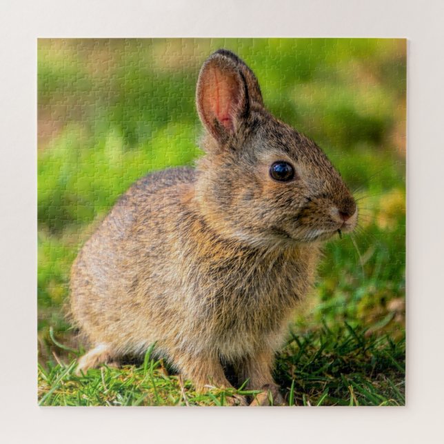 Cute Little Bunny - Jigsaw Puzzle (Horizontal)