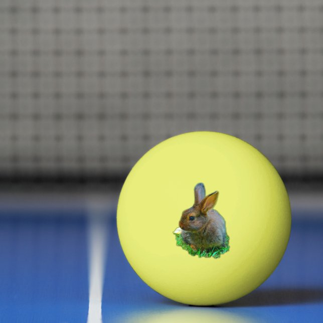 Cute little Bunny Ping Pong Ball (Net)