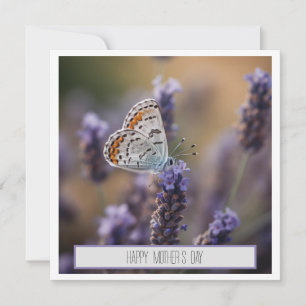 Cute little butterfly on lavender customizable