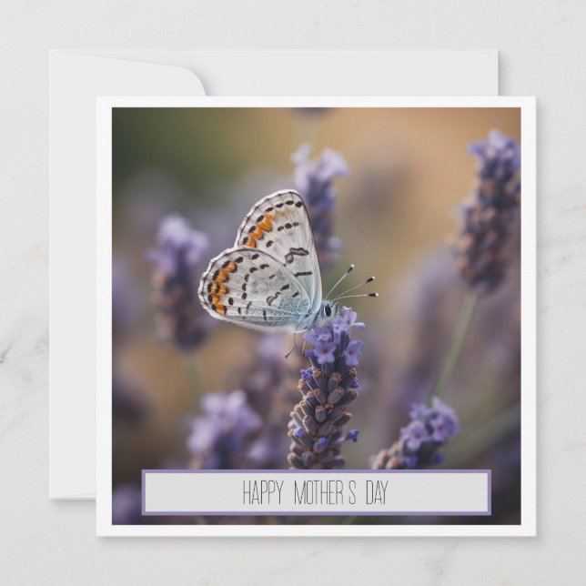 Cute little butterfly on lavender customizable (Front)