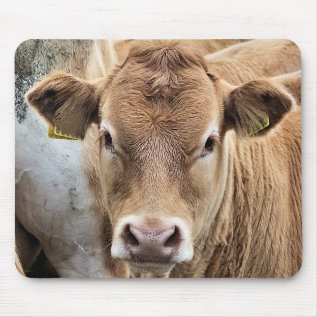 CUTE LITTLE CALF MOUSE PAD (Front)