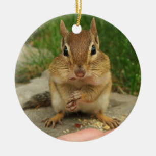 Cute Little Cheeky Chipmunk Ceramic Ornament