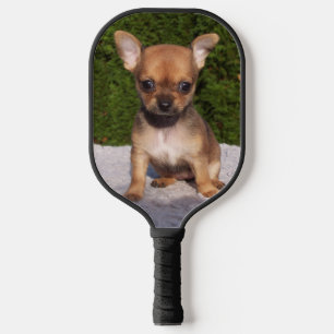 Cute Little Chihuahua Puppy Dog Pickleball Paddle