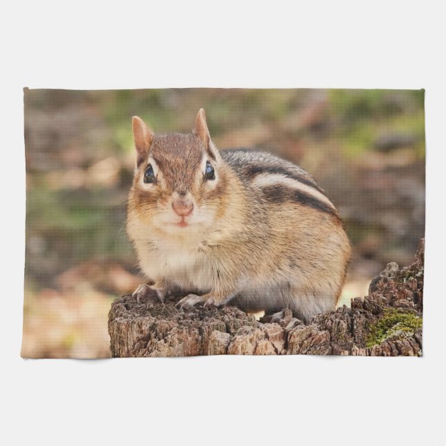 Cute Little Chipmunk Kitchen Towel (Horizontal)