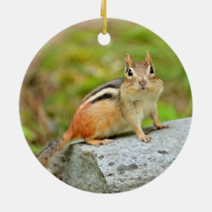 Cute Little Chipmunk Posing on a Rock Ceramic Ornament