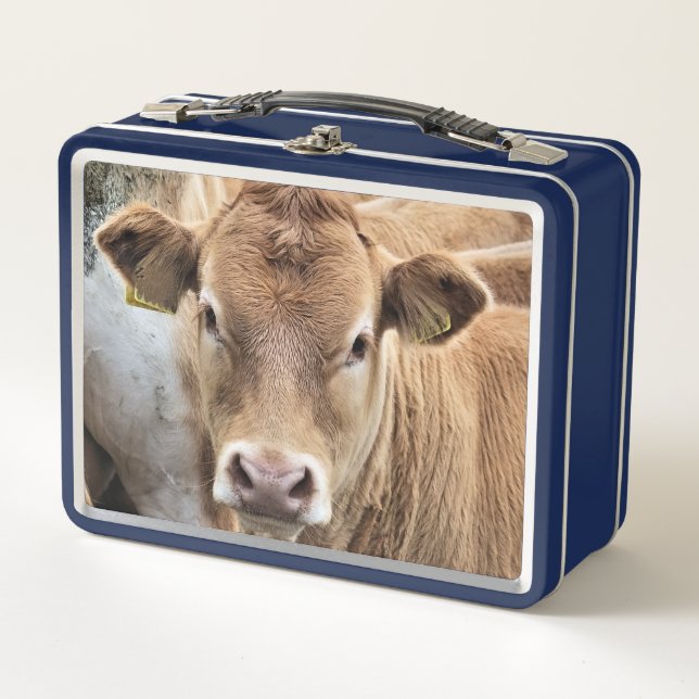 CUTE LITTLE COW METAL LUNCH BOX (Front)