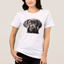 Cute little dog