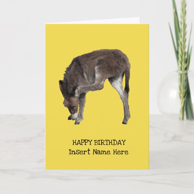 Cute Little Donkey Foal Scratching Ear Template (Front)