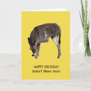 Cute Little Donkey Foal Scratching Ear Template