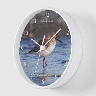 Cute Little Dunlin on the Beach Wall Clock