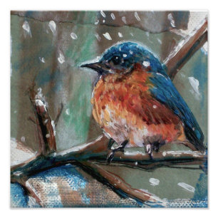 Cute Little Eastern Blue Bird Painting Winter Photo Print