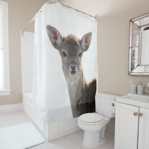 Cute little Fawn 2 #animal #art