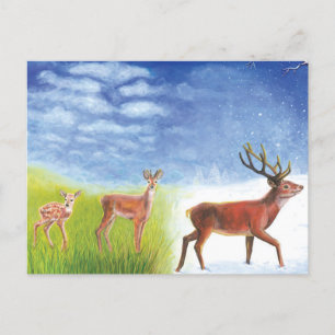 Cute Little Fawn Grows up to Red Deer Illustration Postcard