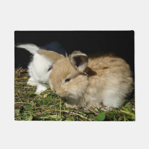 Cute little fluffy bunnies     doormat