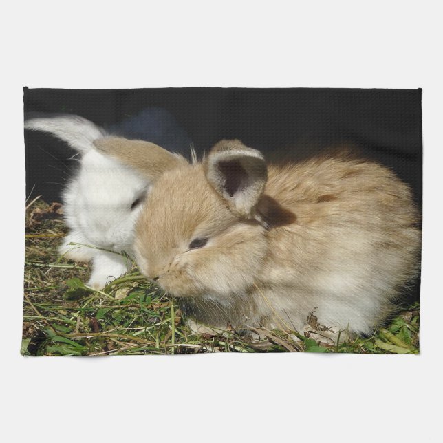 Cute little fluffy bunnies  kitchen towel (Horizontal)