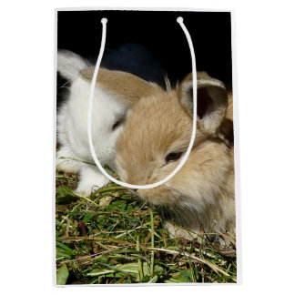 Cute little fluffy bunnies medium gift bag