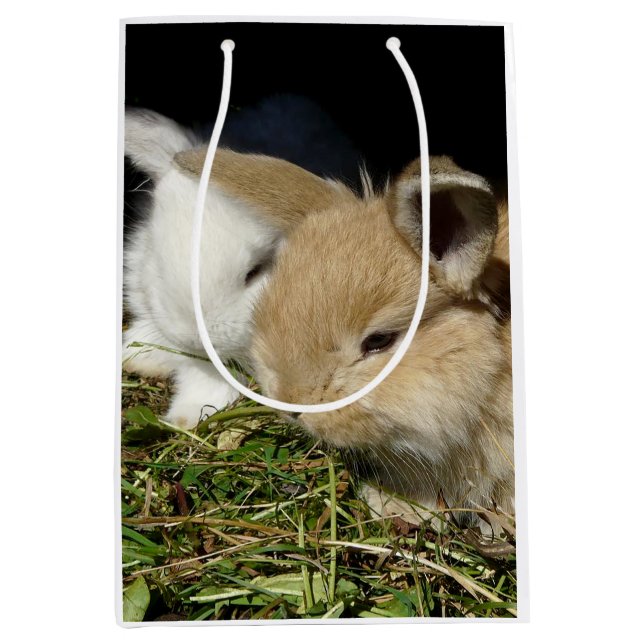 Cute little fluffy bunnies   medium gift bag (Front)